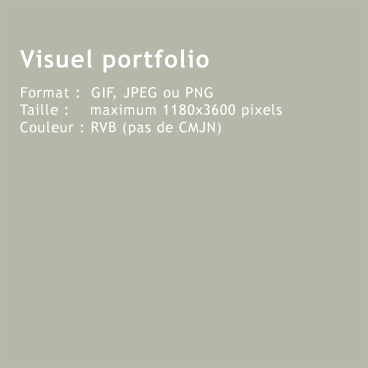 Projet Villas contemporaines